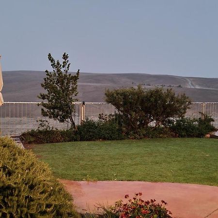 Villa Desert Call Arad Exterior foto